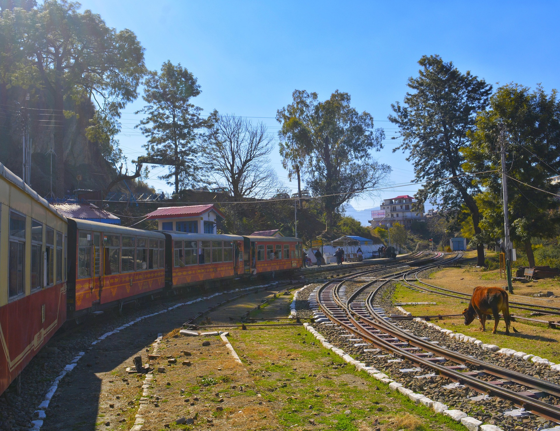 Whispers of the White Queen: A Rendezvous with Shimla